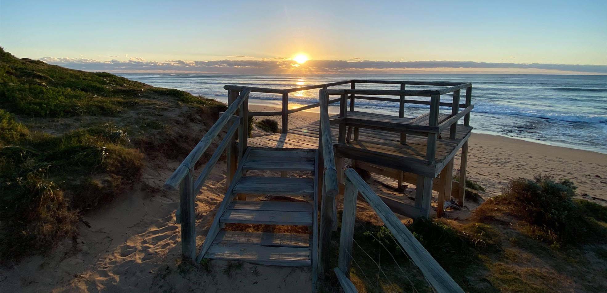 OCEAN SUNSET FALCON