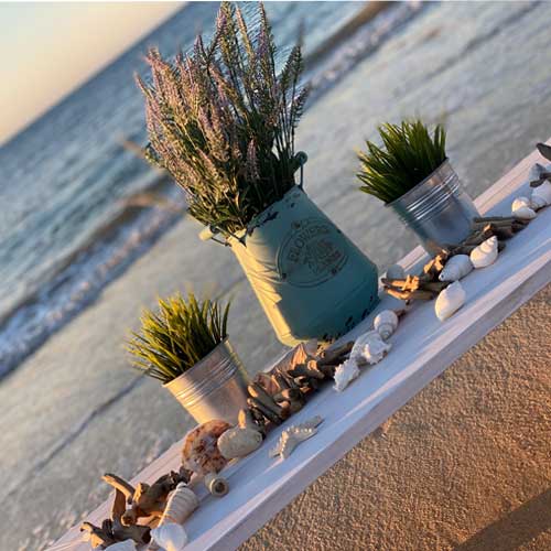 PICNIC-BOX-Pop-up-Picnic-beach-scenes